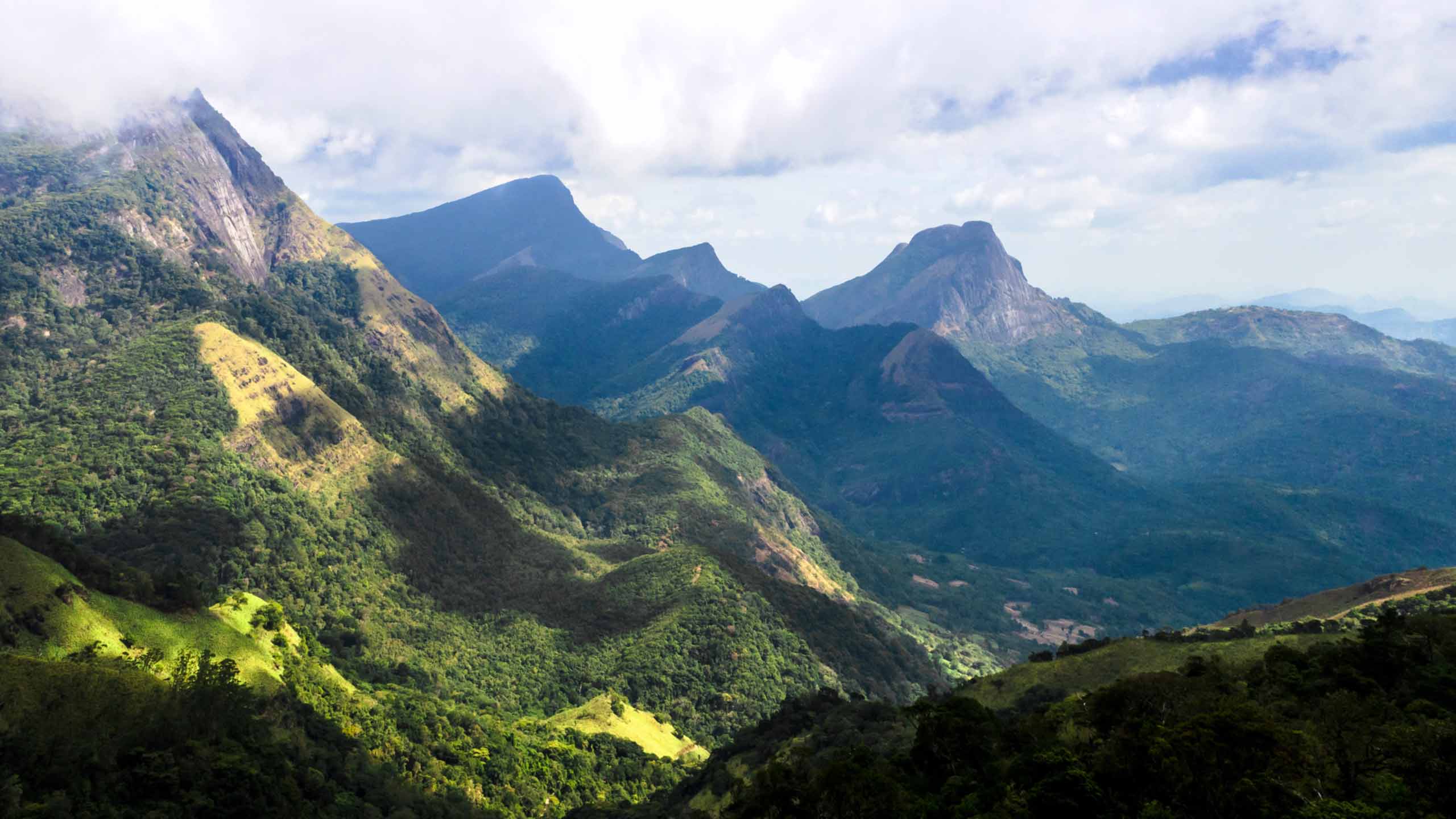 Knuckles Mountain Range
